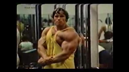 Arnold Schwarzenegger - Dumbell Fly