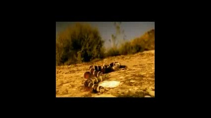 Brooklyn Bounce - Take A Ride