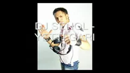 Dj Senol - Yetti Gari