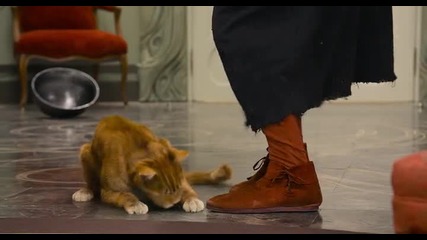 Котката на Гаргамел - Gargamel's cat - Защо не каза нищо ?