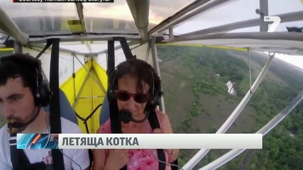 Котка оцеля след полет на крилото на мотопланер News7