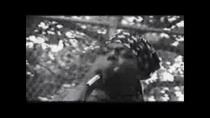 The Notorious B.i.g. - Party & Bullshit