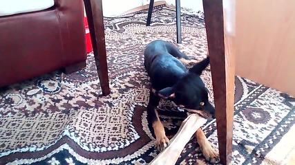 Vid_20141020_105943