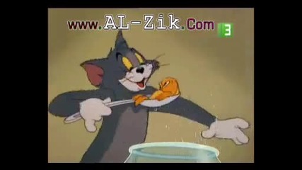 Tom And Jerry Jerry And The Goldfish Cartoon 2010. 