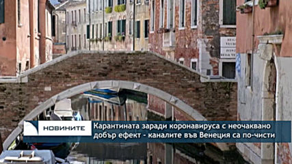 Каналите на Венеция са чисти и пълни с рибки заради карантината, въведена от италианските власти