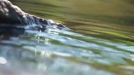 Красотата на природата