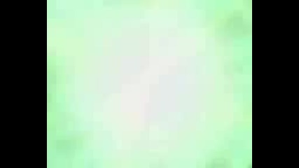 All the winx girls normal transf 