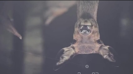The Talking Bugs - Consequences of Your Sound