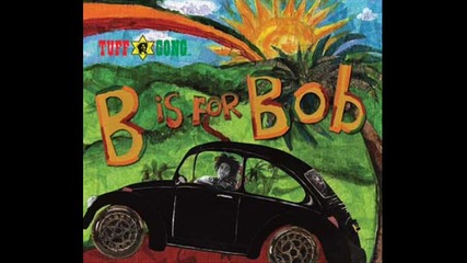 Bob Marley - Three Little Birds (acoustic version) 