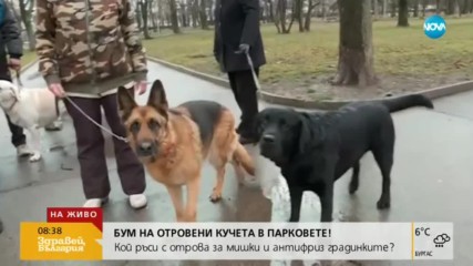 Кой трови кучета из парковете на София?