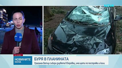 Задействаха BG-ALERT в Самоковско, ураганният вятър изкорени дървета на  Боровец