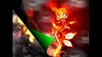 Sara Lee - Sleeping in the fire