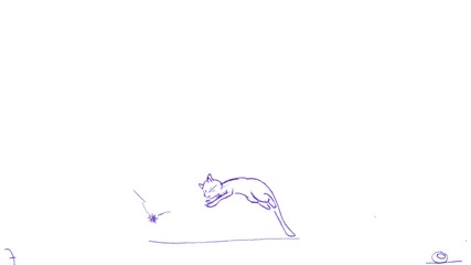 Untitled_cat_test