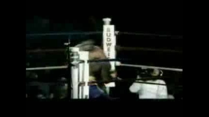Mike Tayson Knock out 