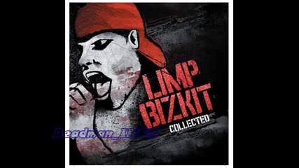 08 - limp bizkit - behind blue eyes 