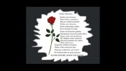 Bebegim.flv