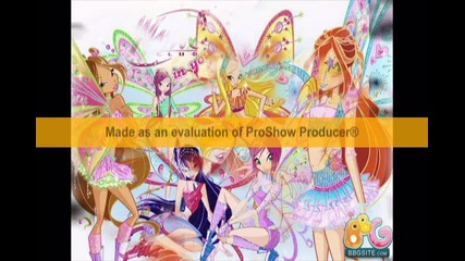 klub winx