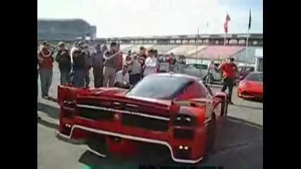 Ferrari Fxx Мощтен звук