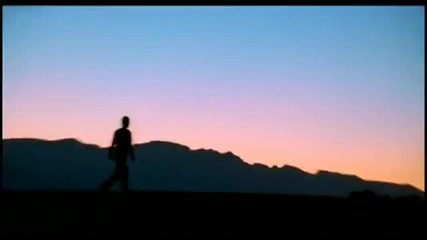 Sting - Desert Rose