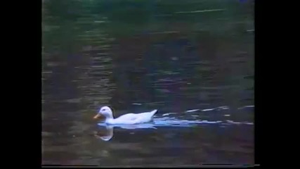 Vulcano - Een beetje van dit