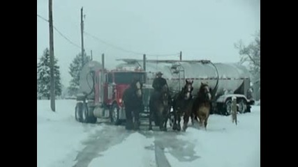 Живи конски сили