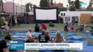 Кучета и стопаните им гледаха „Въздушният Бъд“ на кино под открито небе в Лос Анджелис