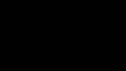 muco555 intro