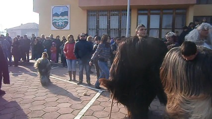 Surva Cherniche 2013