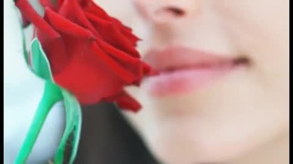 Hari Mata Hari - Sreca