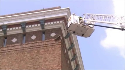 Спасяване на енот покачил се на върха на сграда