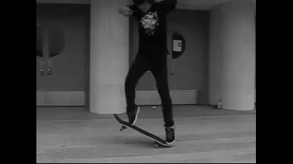 Dolphin Flip 