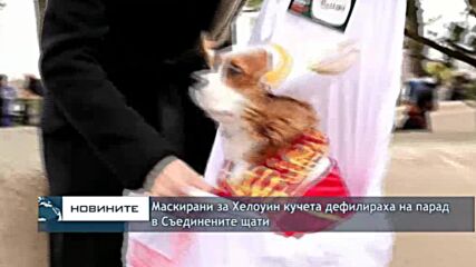 Маскирани за Хелоуин кучета дефилираха на парад в Съединените щати