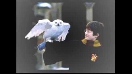 Harry Potter Deaths