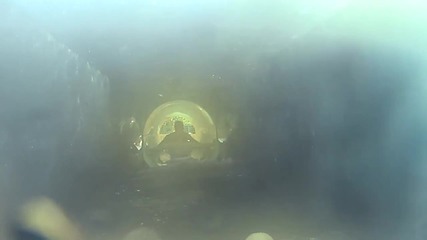Shark Attack Water Slide at Atlantis