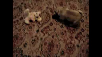 video2