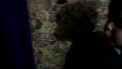 Vid_20140124_180149