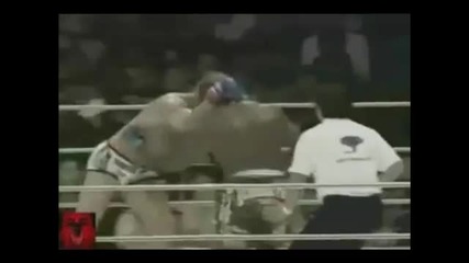 Mma The Brutal knockouts