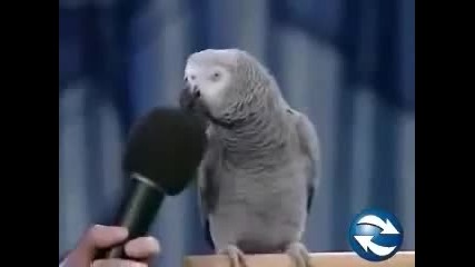 Само смешки в компилация !