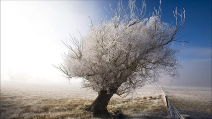 »» Chillstep «« Aaron Static