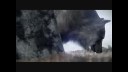 Final Fantasy GMV - Zack Now Youre Gone