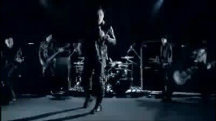Rammstein - Pussy