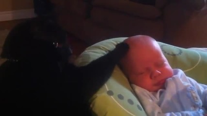 Коте успокоява плачещо бебе