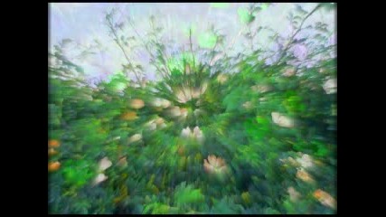 Brian Eno & Harold Budd - Their Memories