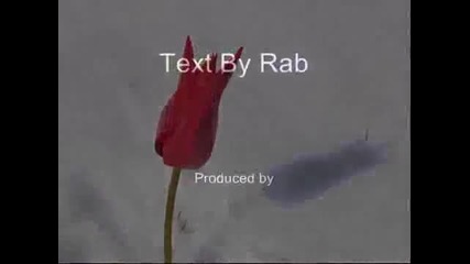 I Wish For You 