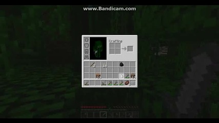 Minecraft Ocelqvane +music Part 3