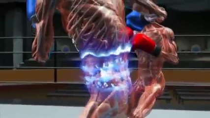 Speed Of The Boxing Punches 2015 Hd
