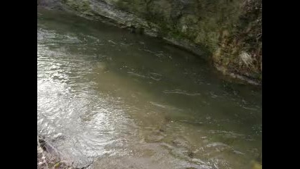 Picture 032