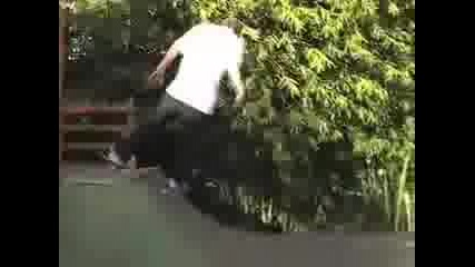 Dc Skate Team