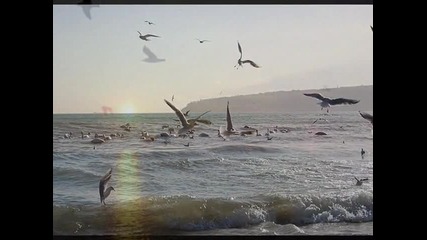 Тебе одной