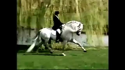 Andalusians